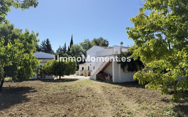 Revente - Maison de campagne - Intérieur                       - Alhaurín el Grande Centro