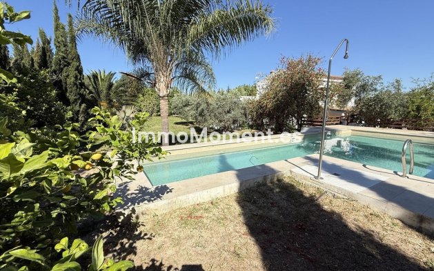 Revente - Maison de campagne - Intérieur                       - Alhaurín el Grande Centro
