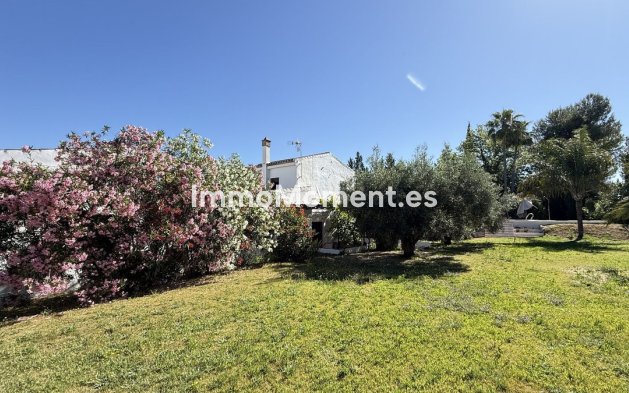 Revente - Maison de campagne - Intérieur                       - Alhaurín el Grande Centro