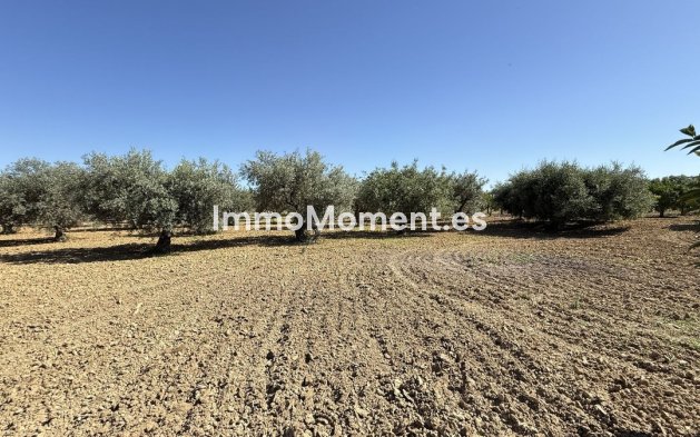 Revente - Maison de campagne - Intérieur                       - Alhaurín el Grande Centro