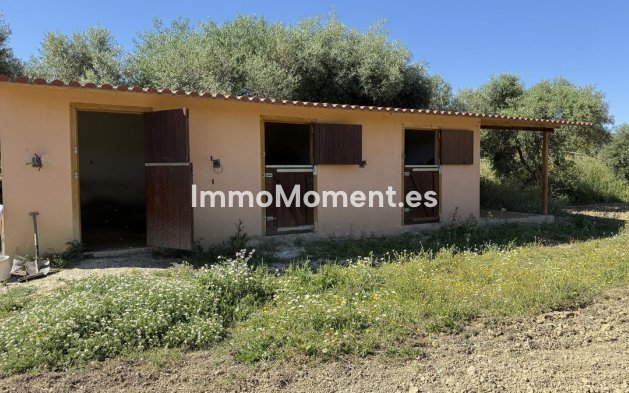 Revente - Maison de campagne - Intérieur                       - Alhaurín el Grande Centro