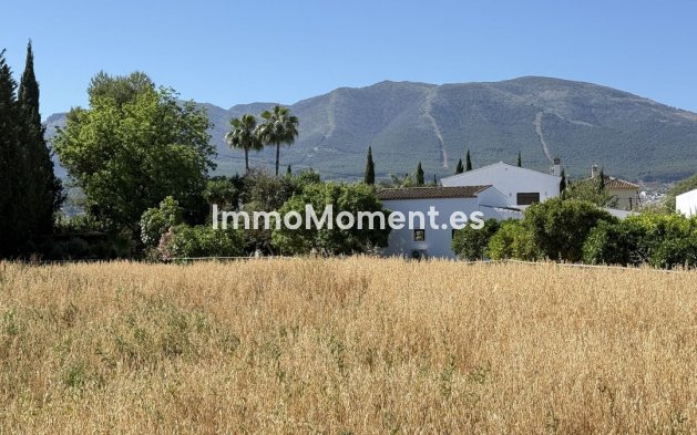 Revente - Maison de campagne - Intérieur                       - Alhaurín el Grande Centro