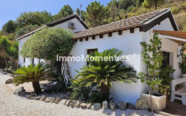 Revente - Villa individuelle - Intérieur                       - Monda