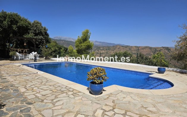 Revente - Villa individuelle - Intérieur                       - Monda