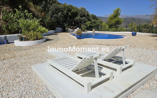 Revente - Villa individuelle - Intérieur                       - Monda