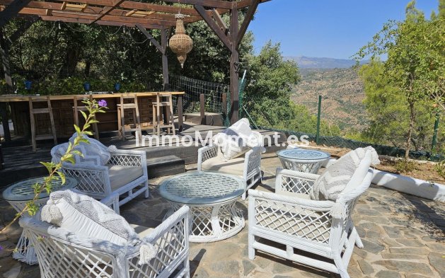 Revente - Villa individuelle - Intérieur                       - Monda
