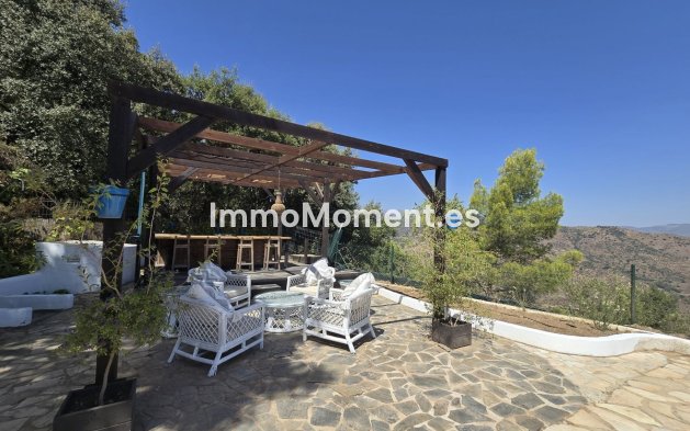 Revente - Villa individuelle - Intérieur                       - Monda