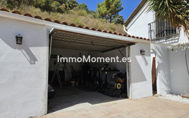 Revente - Villa individuelle - Intérieur                       - Monda