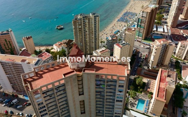 Wiederverkauf - Wohnung - Benidorm - Benidorm Centro