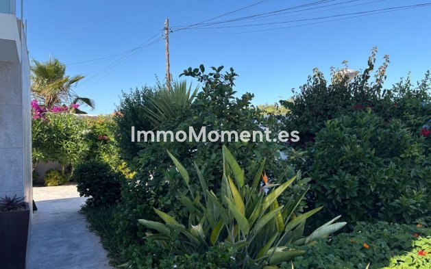 Wiederverkauf - Freistehende Villa - Torrevieja - La Siesta