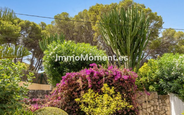 Reventa - Villa independiente - Jávea - Jávea - Xàbia Centro