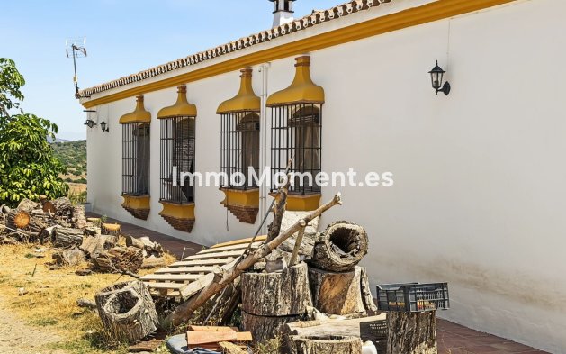 Revente - Maison de campagne - Casares - Casares Centro