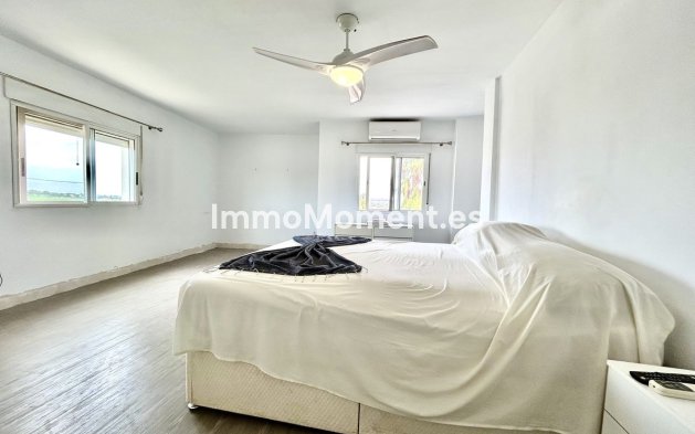 Revente - Villa individuelle - Los Montesinos - Los Montesinos Centro