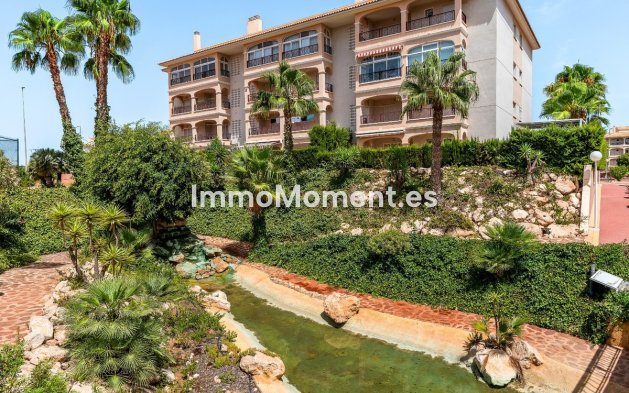 Wiederverkauf - Wohnung - Orihuela Costa - Playa Flamenca