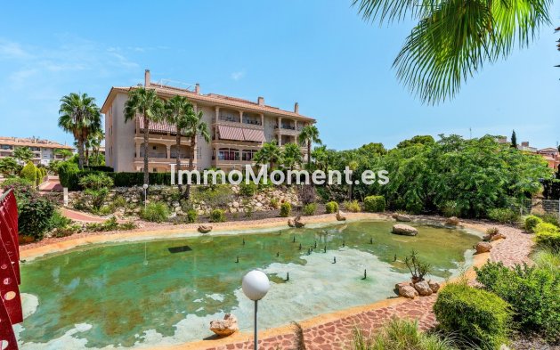 Wiederverkauf - Wohnung - Orihuela Costa - Playa Flamenca
