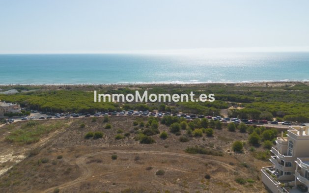 Wiederverkauf - Wohnung - Guardamar del Segura - Guardamar del Segura Centro
