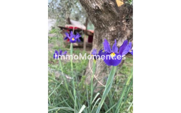 Bestaande woning - Landhuis - Binnenland  - Monda