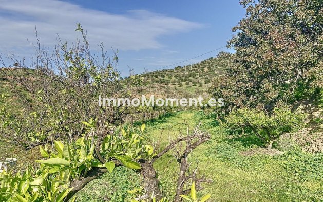 Reventa - Casa de campo - Interior  - Pizarra