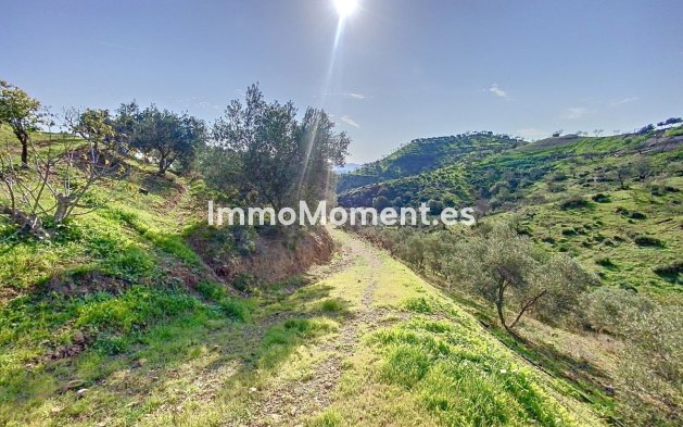 Reventa - Casa de campo - Interior  - Pizarra