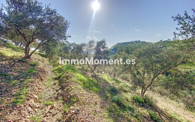 Reventa - Casa de campo - Interior  - Pizarra