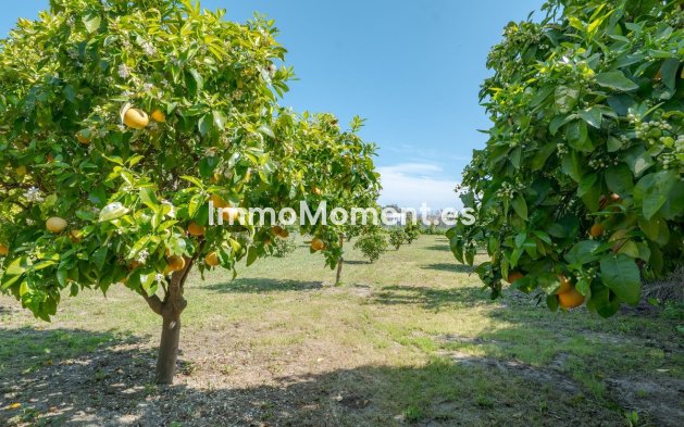 Reventa - Villa independiente - Interior  - Alhaurín el Grande Centro