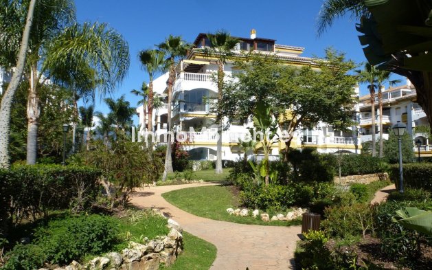 Revente - Appartement - Marbella - Nueva Andalucía