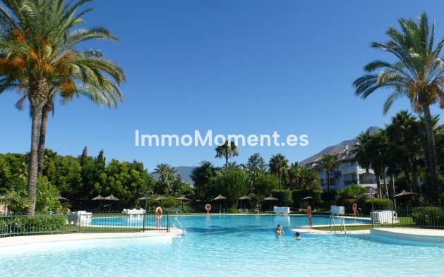 Revente - Appartement - Marbella - Nueva Andalucía