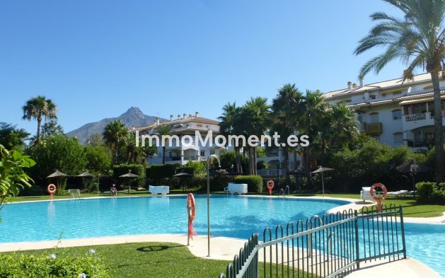 Revente - Appartement - Marbella - Nueva Andalucía