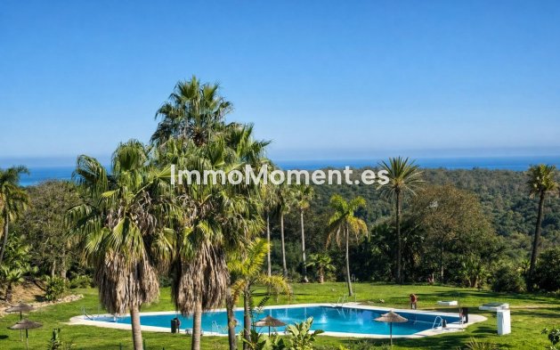 Wiederverkauf - Wohnung - Sotogrande - San Roque Club