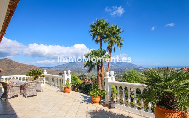 Neubau - Freistehende Villa - Marbella - La Mairena