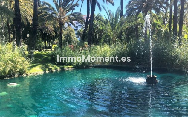 Revente - Appartement - Puerto Banús