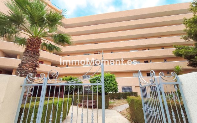 Resale - Apartment - Orihuela Costa - Cabo roig - La Zenia