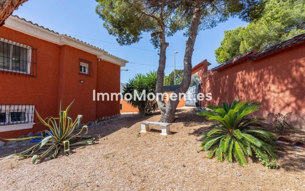 Bestaande woning - Vrijstaande villa - Torrevieja - Torrevieja Centro