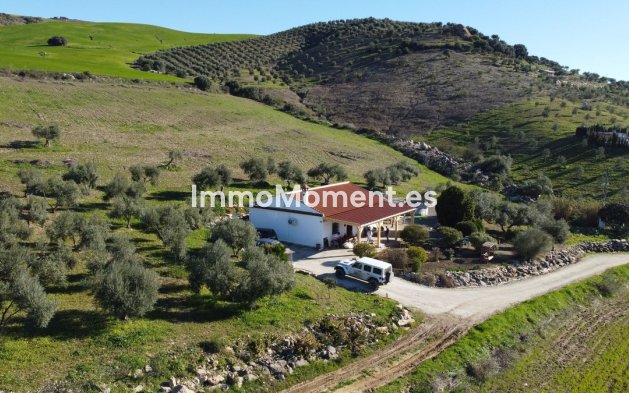 Revente - Maison de campagne - Intérieur                       - Alora