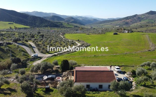 Revente - Maison de campagne - Intérieur                       - Alora