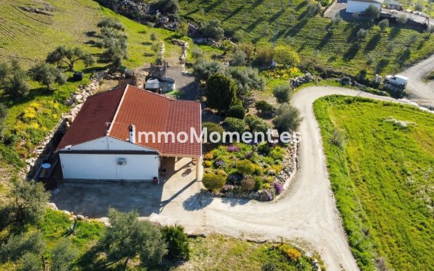 Revente - Maison de campagne - Intérieur                       - Alora