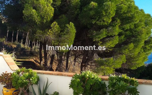 Bestaande woning - Rijtjeshuis - Mijas - Mijas Centro