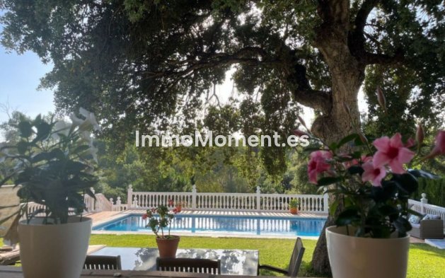 Resale - Detached villa - Marbella - Elviria