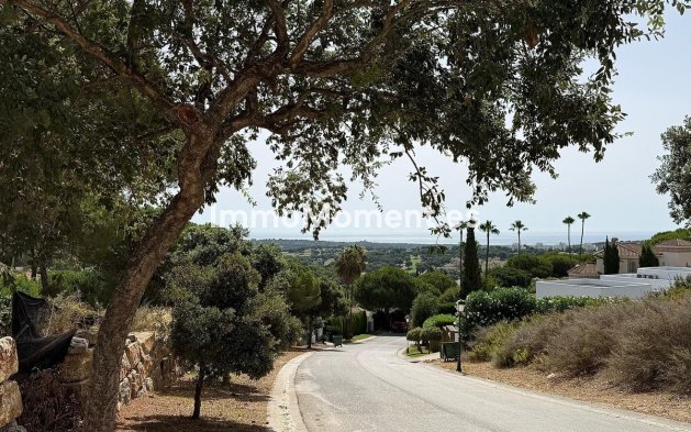 Revente - Parcelle - Sotogrande - Sotogrande Alto