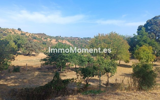 Revente - Maison de campagne - Estepona  - Estepona Centro