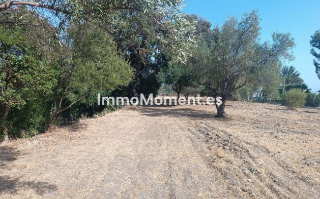 Revente - Maison de campagne - Estepona  - Estepona Centro