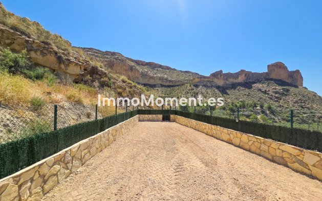 Revente - Villa individuelle - Crevillente - Crevillente - Crevillent Centro