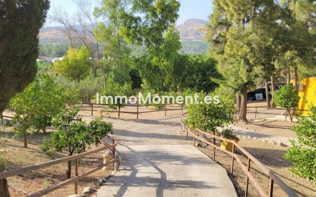 Reventa - Casa de campo - Interior  - Pizarra