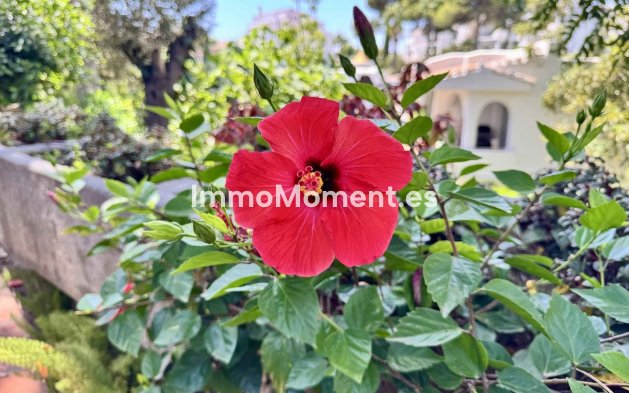 Wiederverkauf - Wohnung - Mijas Costa - Riviera Del Sol
