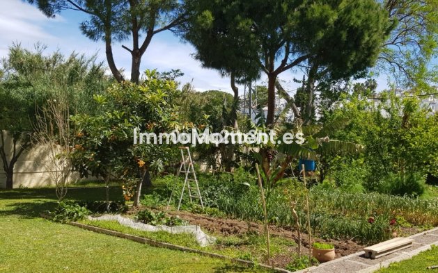 Wiederverkauf - Freistehende Villa - Estepona  - New Golden Mile