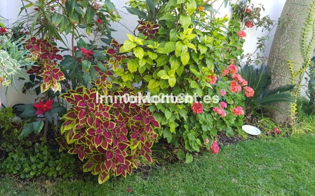 Wiederverkauf - Freistehende Villa - Estepona  - New Golden Mile