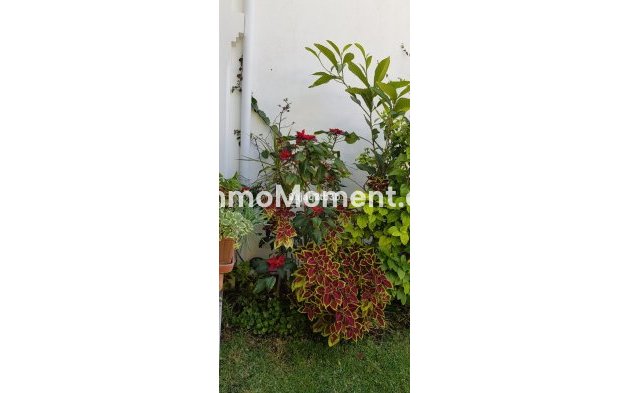 Wiederverkauf - Freistehende Villa - Estepona  - New Golden Mile