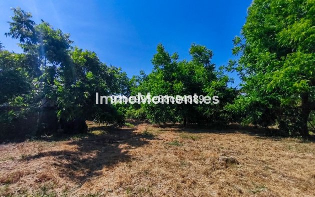Reventa - Casa de campo - Interior  - Coín