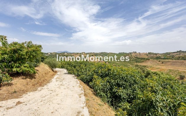 Revente - Maison de campagne - Intérieur                       - Alhaurín el Grande Centro