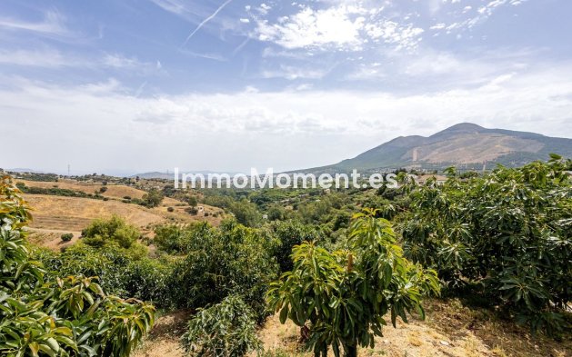 Revente - Maison de campagne - Intérieur                       - Alhaurín el Grande Centro